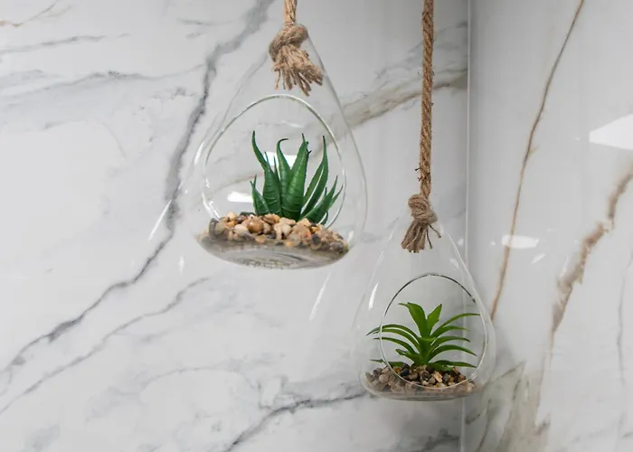 Apartamento Arco De Los Blanco